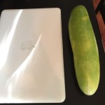 giant-cucumber