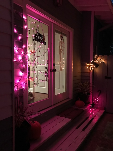 Front door halloween decorations